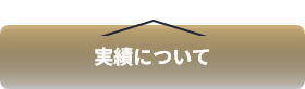 実績について
