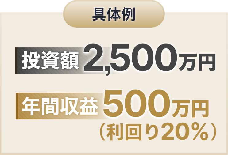 具体例投資額2,500万円 年間収益500万円（利回り20%） 
